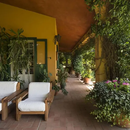 Calandrina Bagni di Vicarello