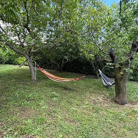 Villa Calandrina