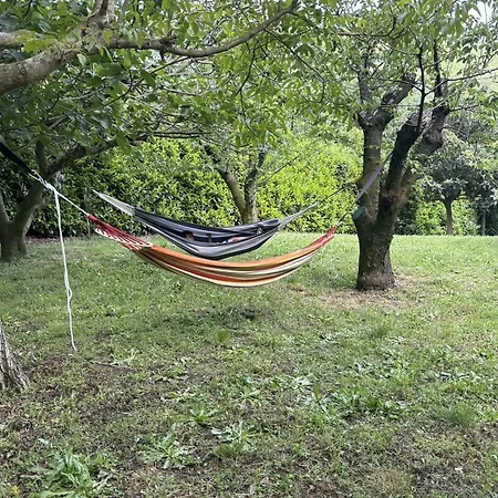 Calandrina Villa *